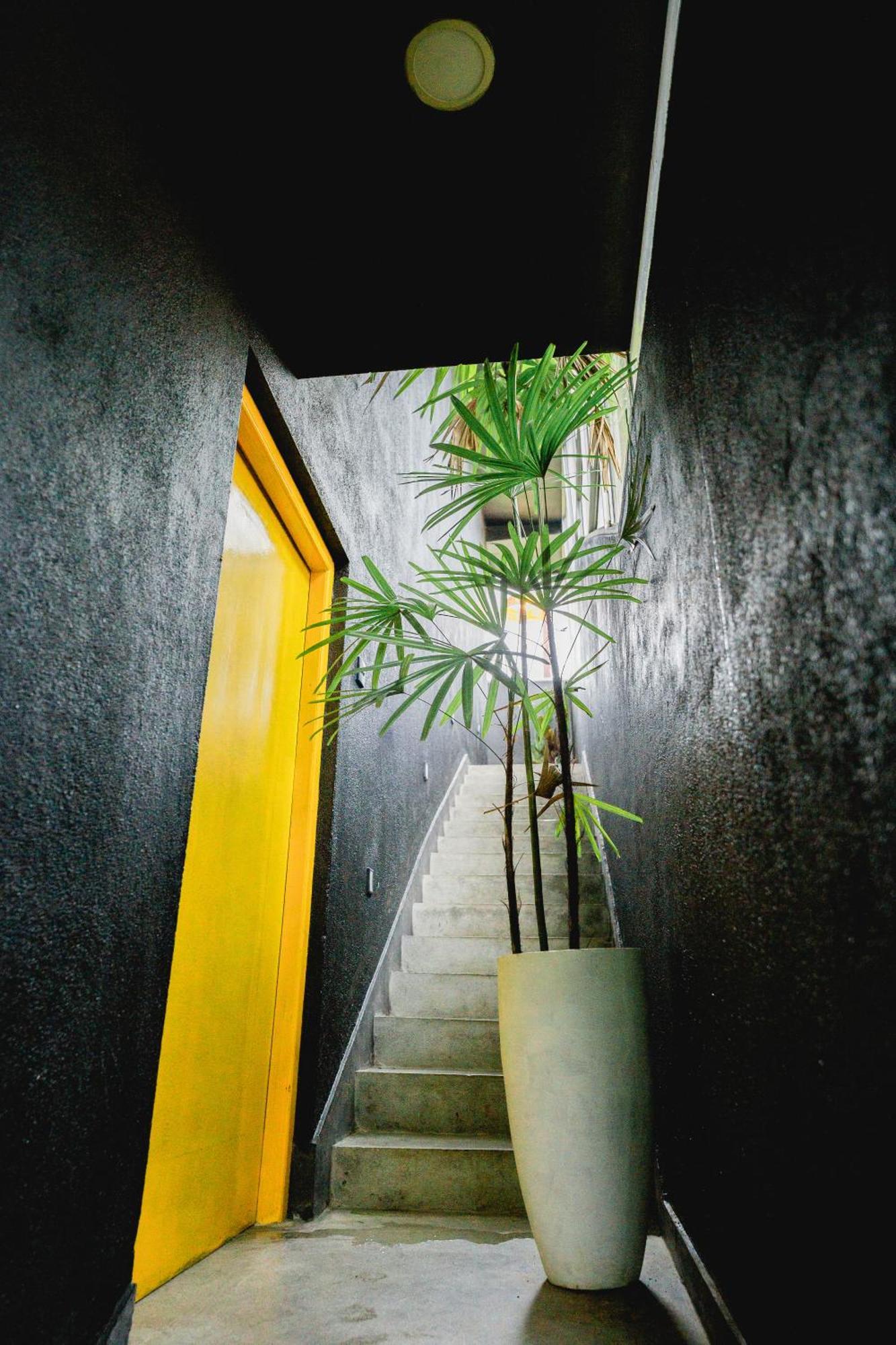 Sugar Hostel Weligama - Coliving & Coworking Ngoại thất bức ảnh