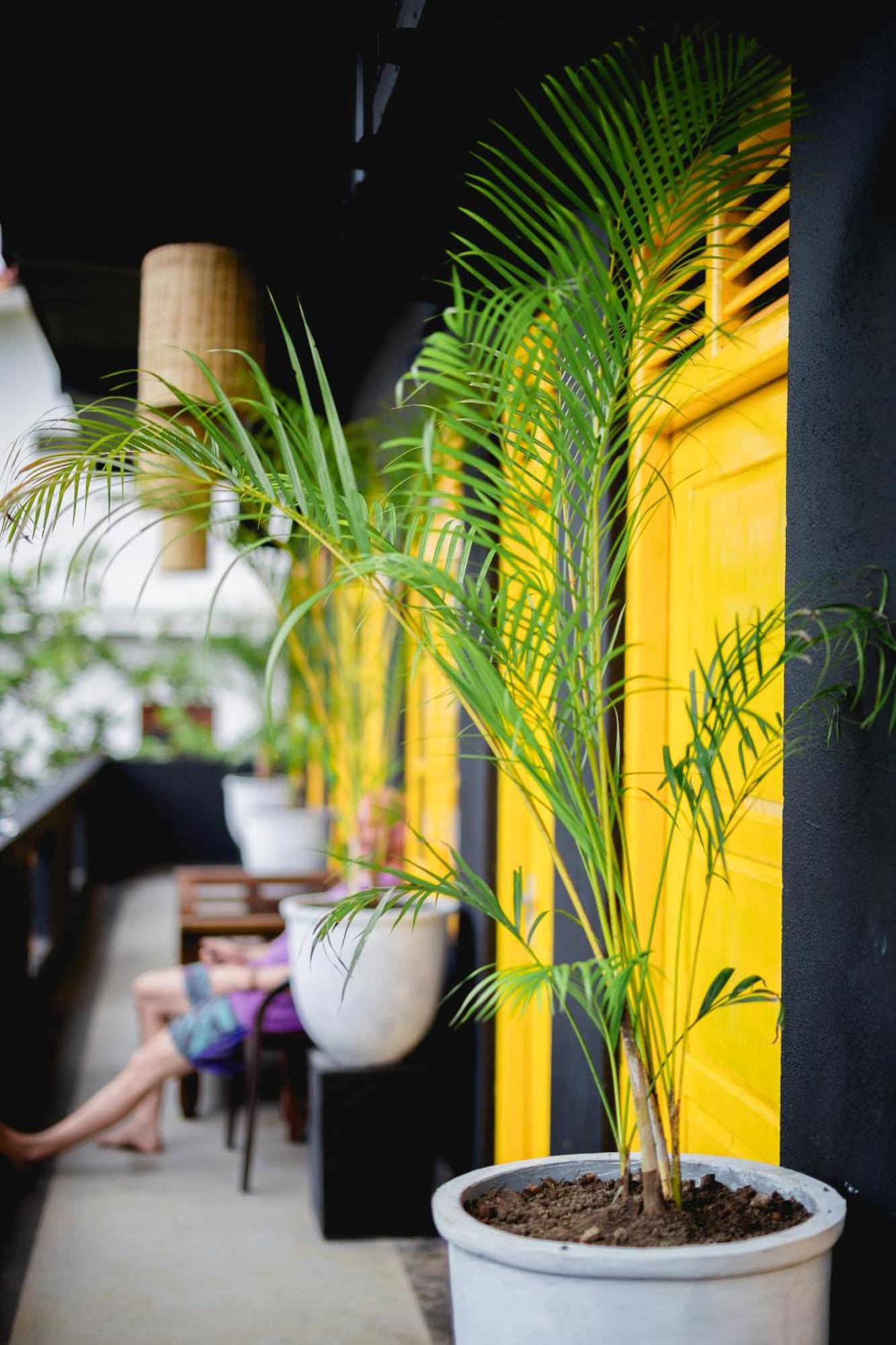 Sugar Hostel Weligama - Coliving & Coworking Ngoại thất bức ảnh