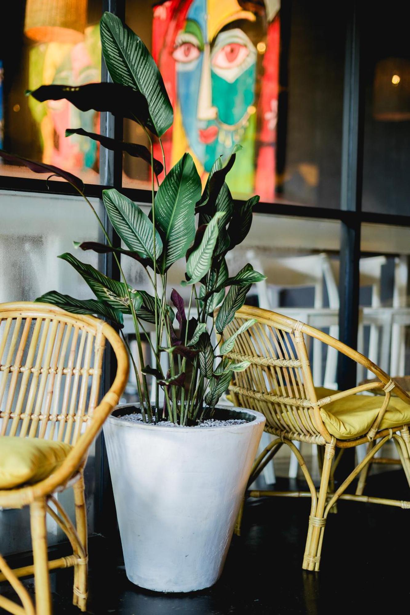 Sugar Hostel Weligama - Coliving & Coworking Ngoại thất bức ảnh