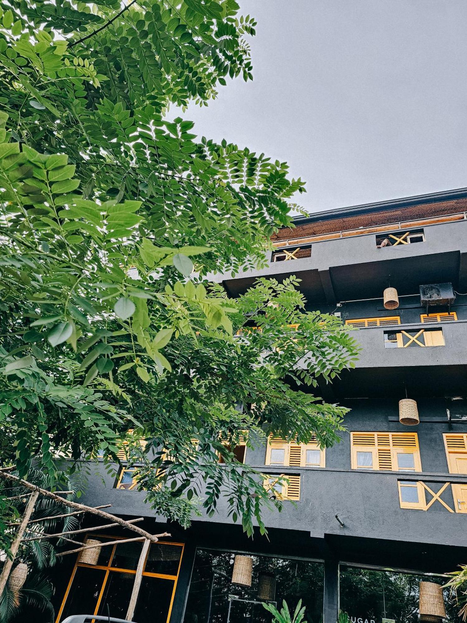 Sugar Hostel Weligama - Coliving & Coworking Ngoại thất bức ảnh